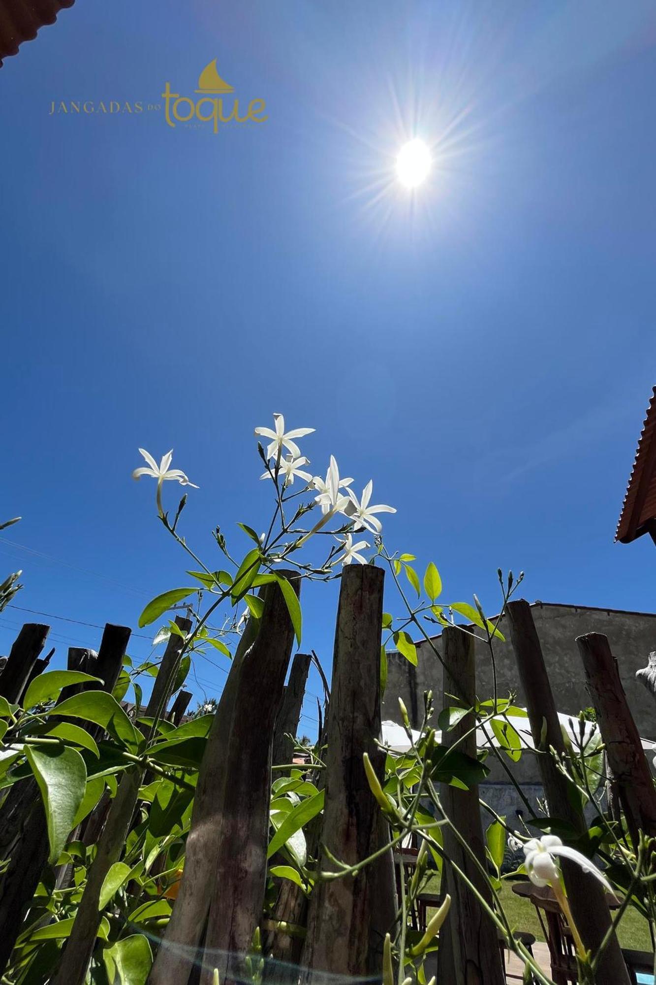 Jangadas Do Toque Milagres Flat 1 Terreo São Miguel dos Milagres Exterior foto